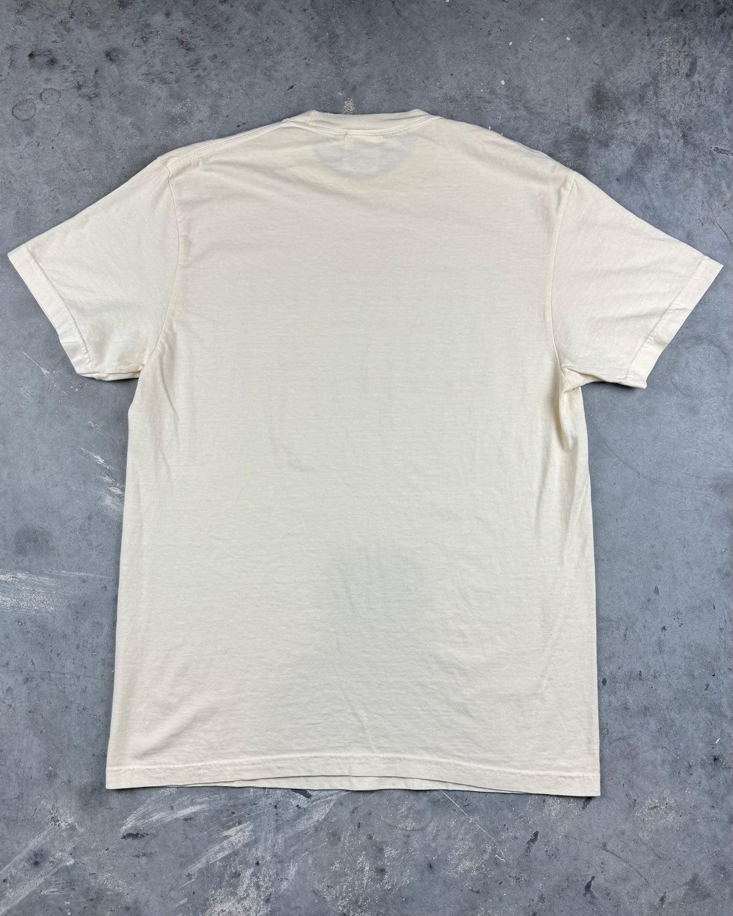 Destroying Dailys '24 Tee