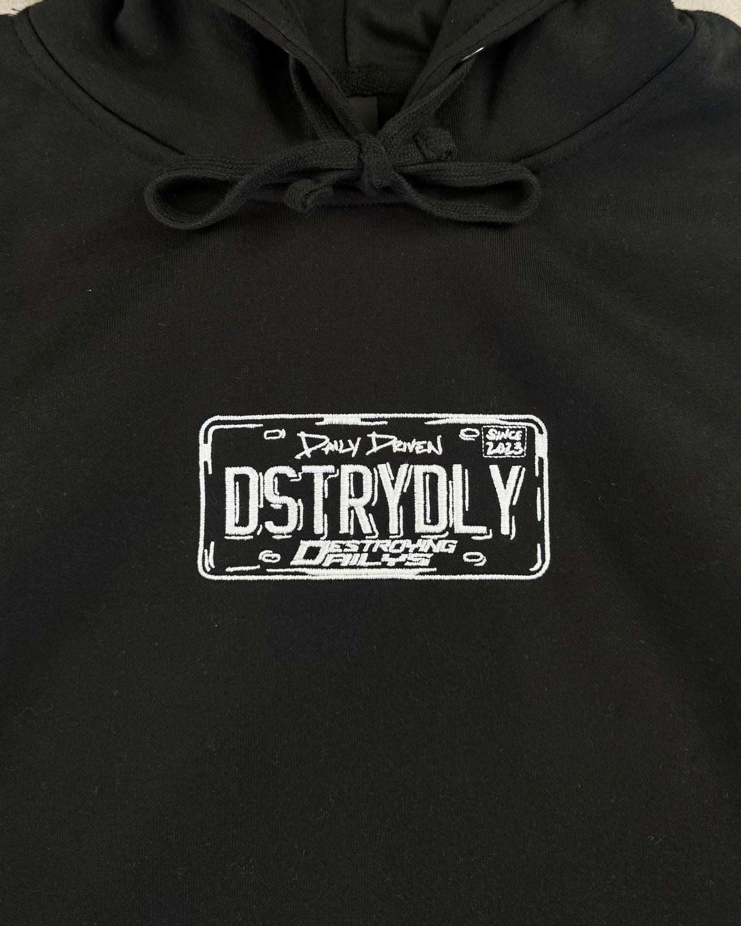 "DSTRYDLY" Hoodie