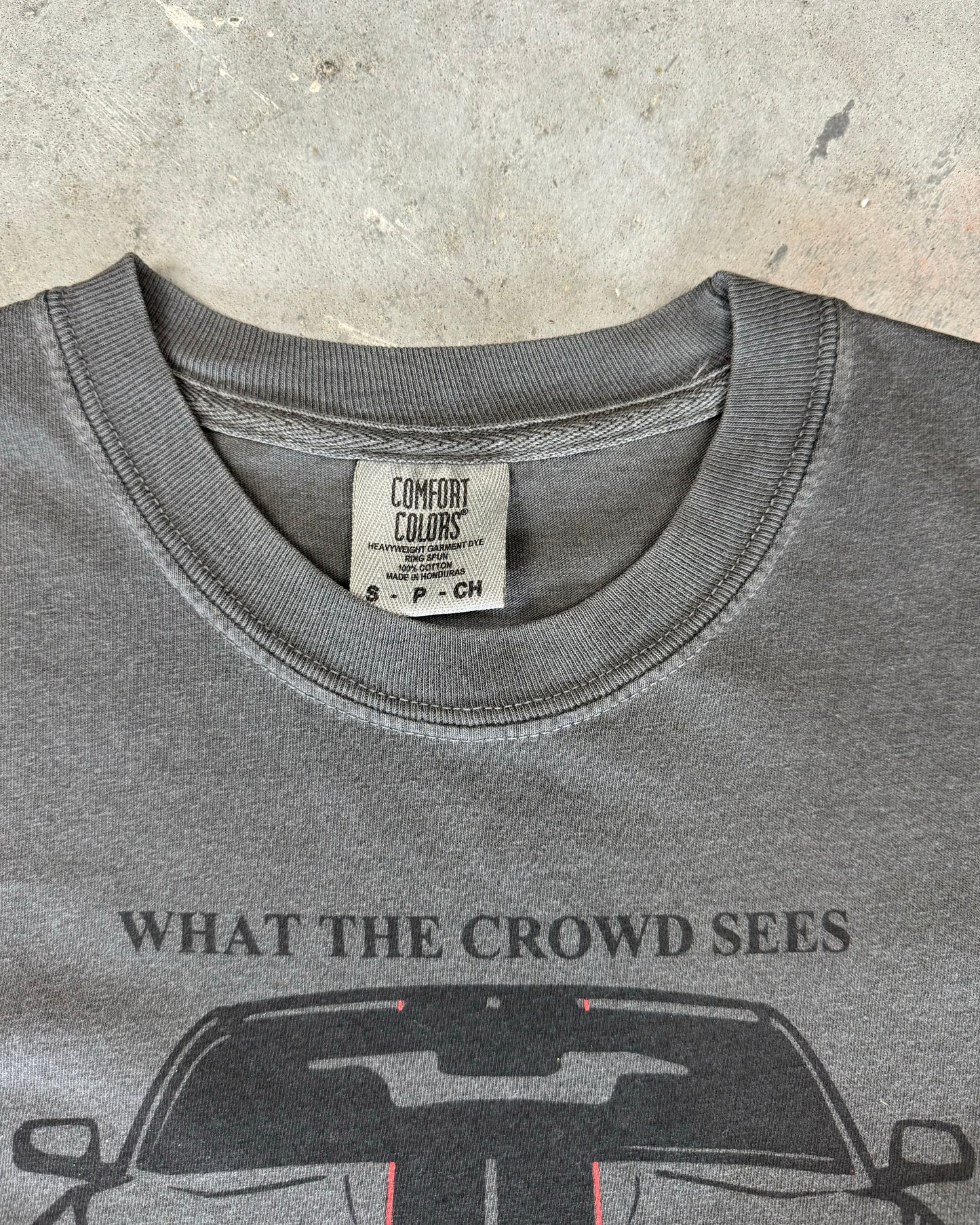 Comfort Colors Tag on Gray 100% cotton t-shirt featuring a hand-drawn Mustang with the text "What the Crowd Sees / What You See Destroying Dailys," perfect for Mustang enthusiasts. Funny mustang crowd tee for car enthusiasts