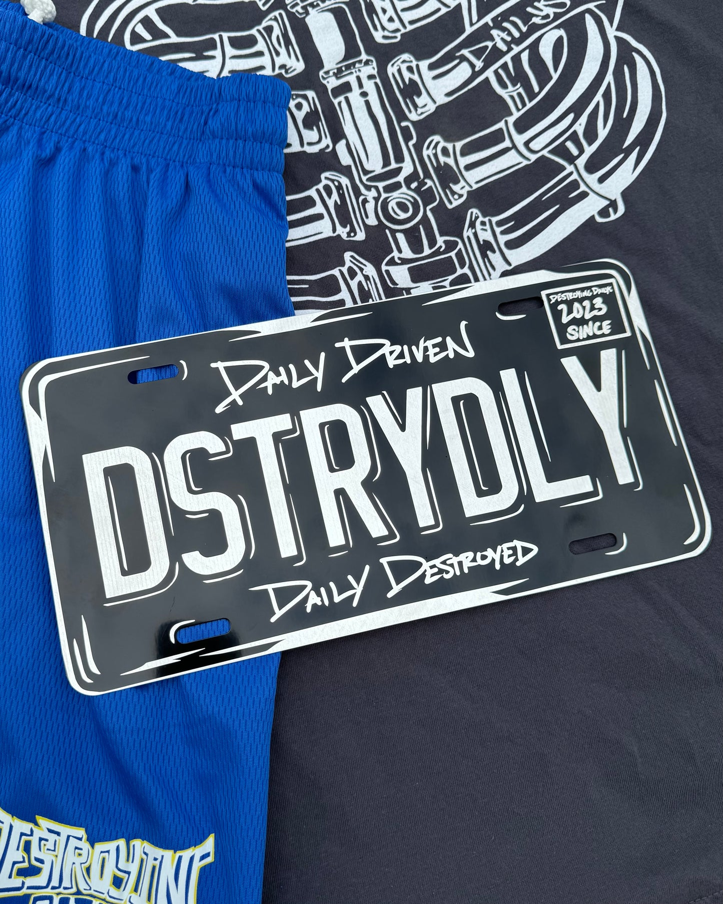 12x6 inch aluminum vanity plate featuring "DSTRYDLY" text with "Daily Driven, Daily Destroyed" and "Destroying Dailys Since 2023," perfect for car enthusiasts. Lifestyle photo